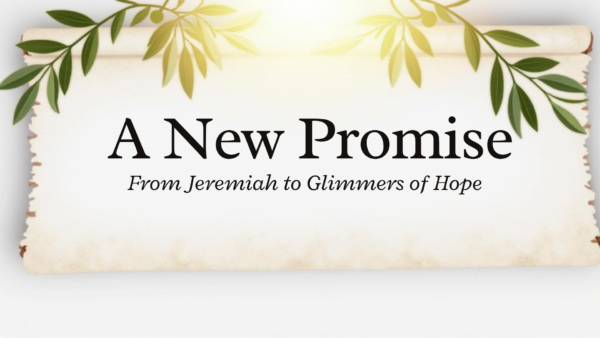A New Promise Image